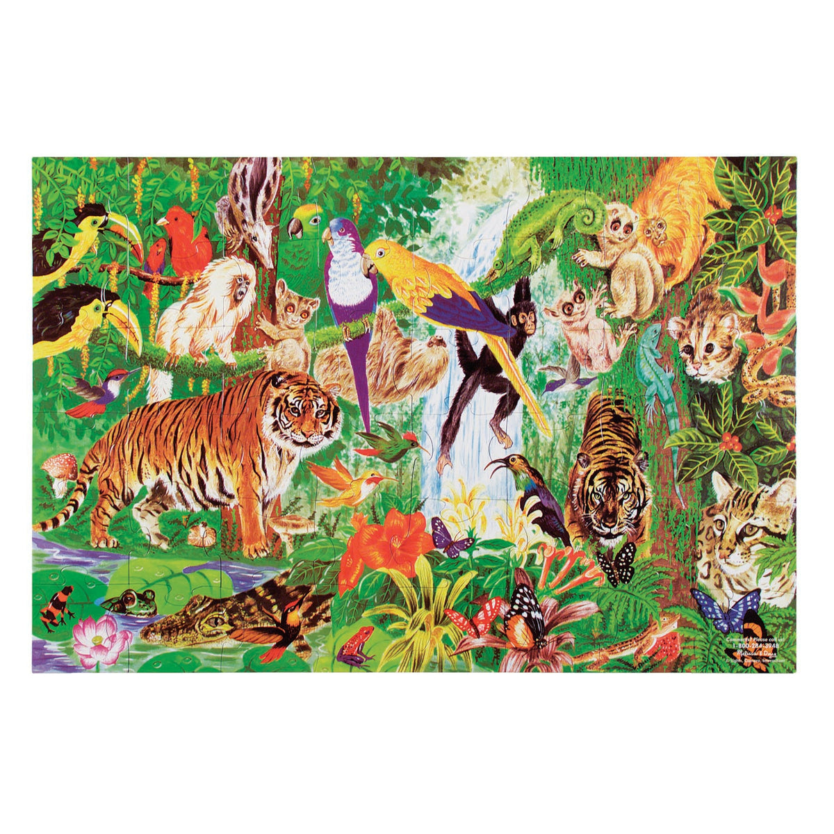 Rainforest Floor Puzzle - 48 Pieces product image 1
