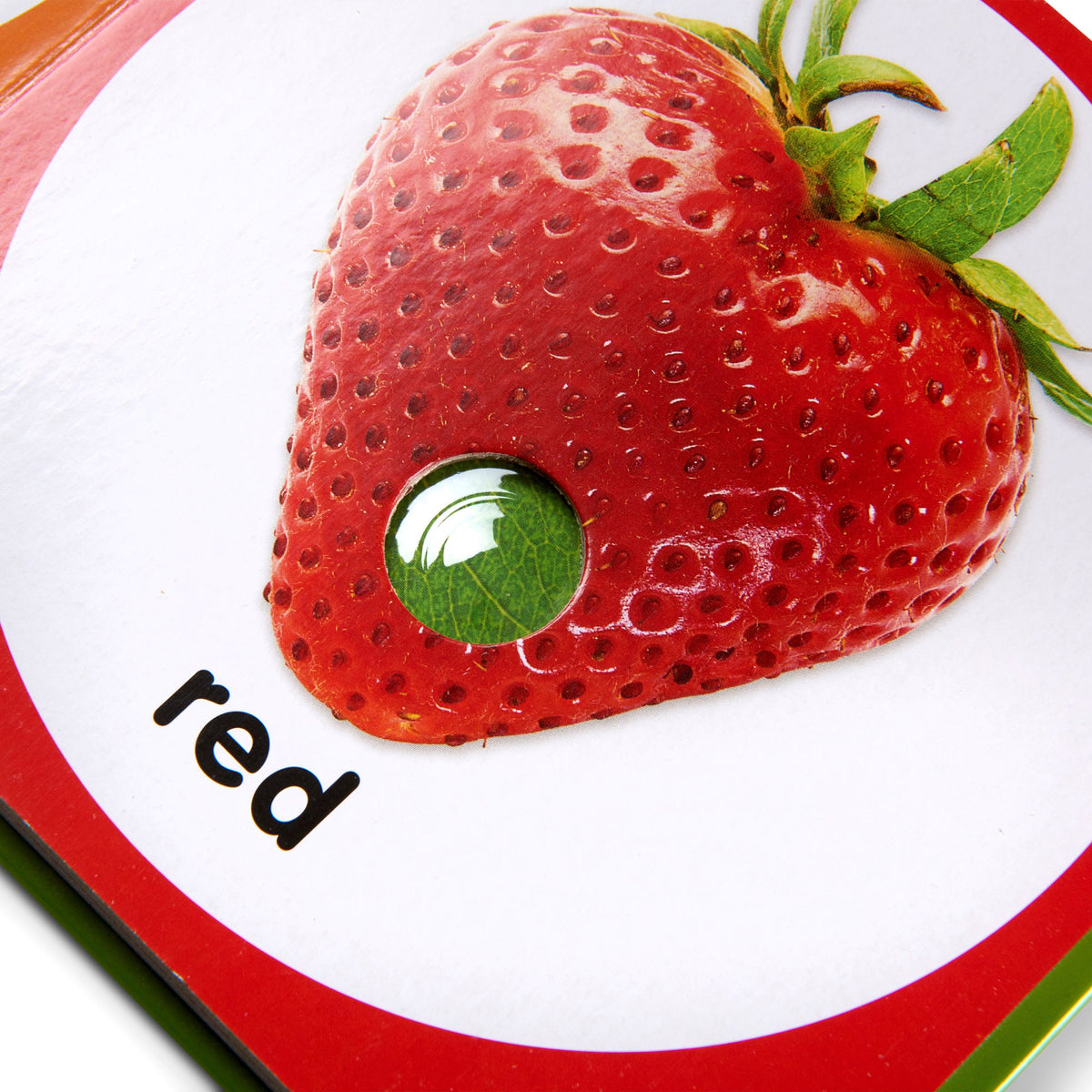 Poke-a-Dot: First Colors Board Book product image 10
